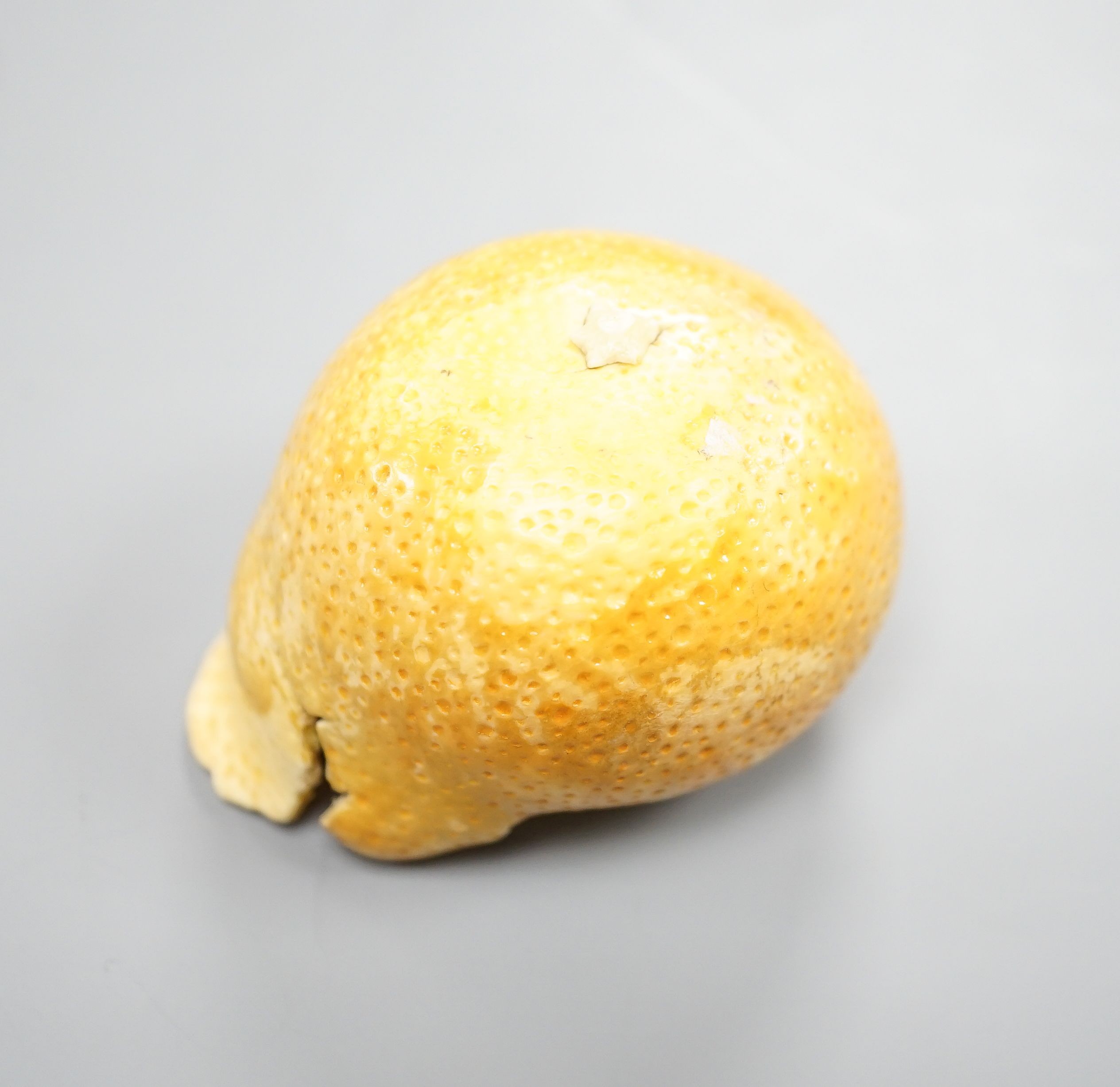 A Japanese carved ivory model of a partially peeled tangerine c.1900, 5cm